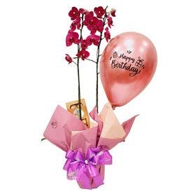 Orquídea com Chocolate e Balão