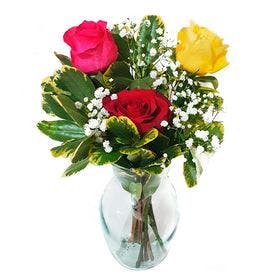 Vaso com 3 Rosas coloridas